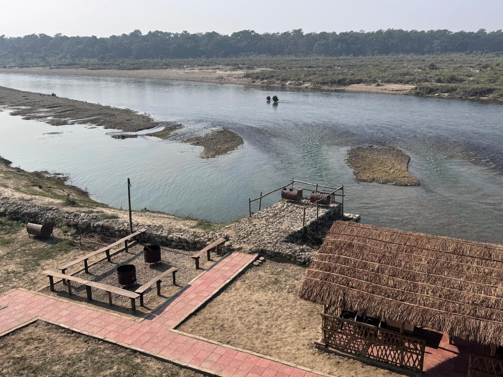 Hotel Jungle Wildlife Camp Sauraha Zewnętrze zdjęcie