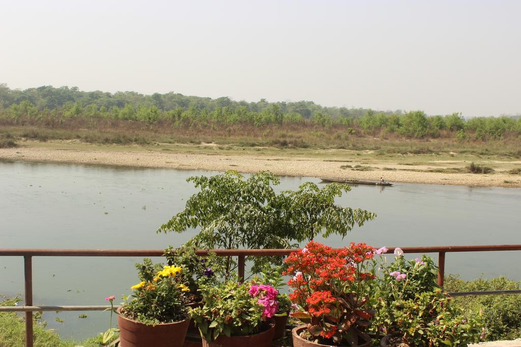 Hotel Jungle Wildlife Camp Sauraha Zewnętrze zdjęcie