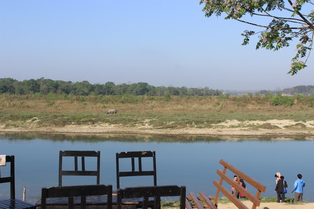 Hotel Jungle Wildlife Camp Sauraha Zewnętrze zdjęcie