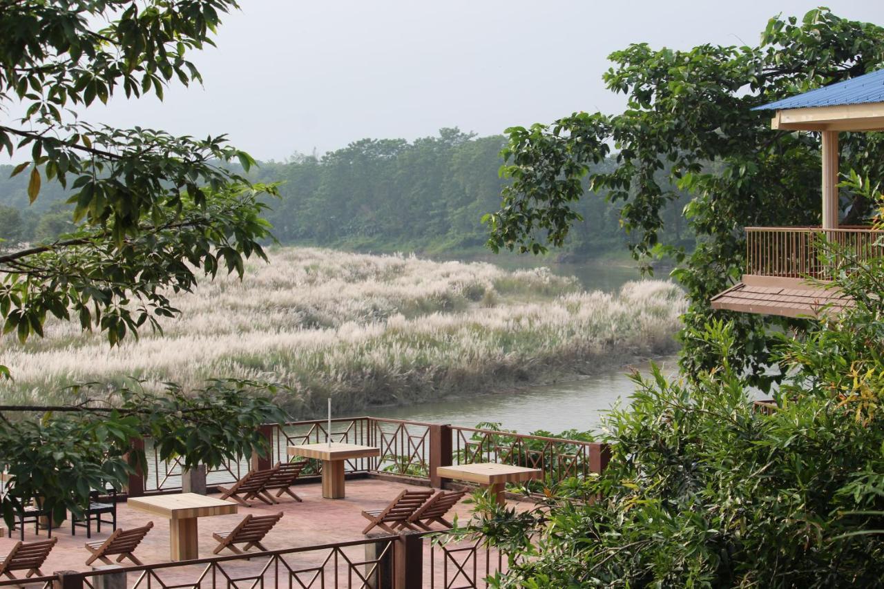 Hotel Jungle Wildlife Camp Sauraha Zewnętrze zdjęcie