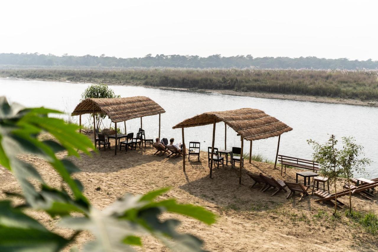 Hotel Jungle Wildlife Camp Sauraha Zewnętrze zdjęcie